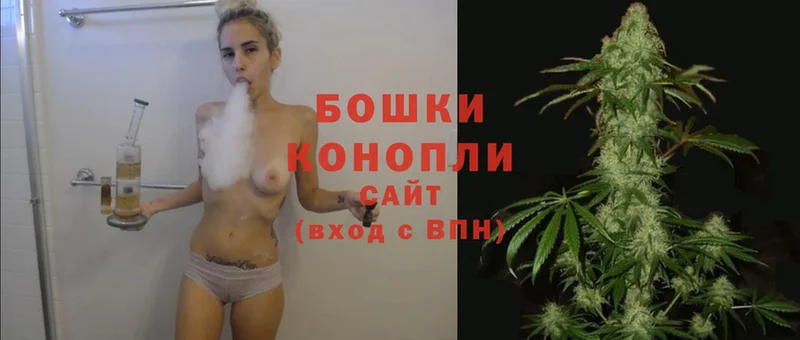 Бошки марихуана THC 21%  Микунь 